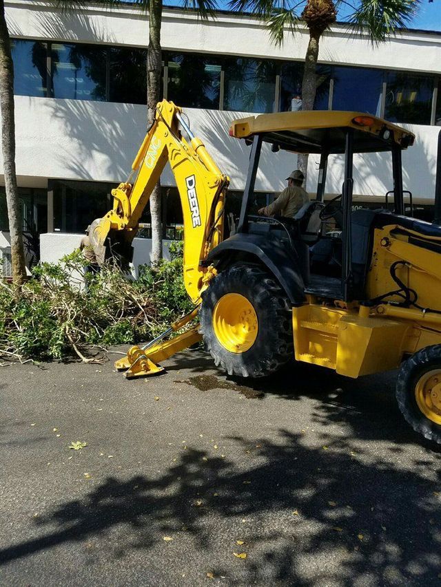 landscaping services